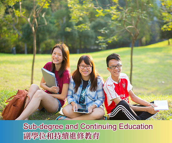 Sub-degree and Continuing Education