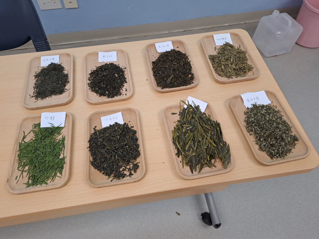 茶艺师职业培训及考试