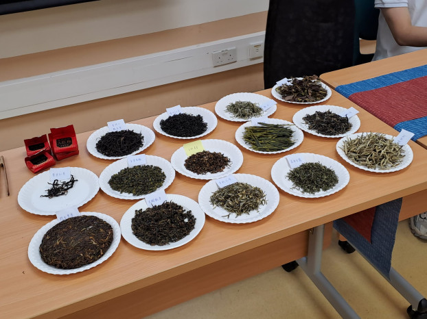 茶艺基础课程（2024年5月）