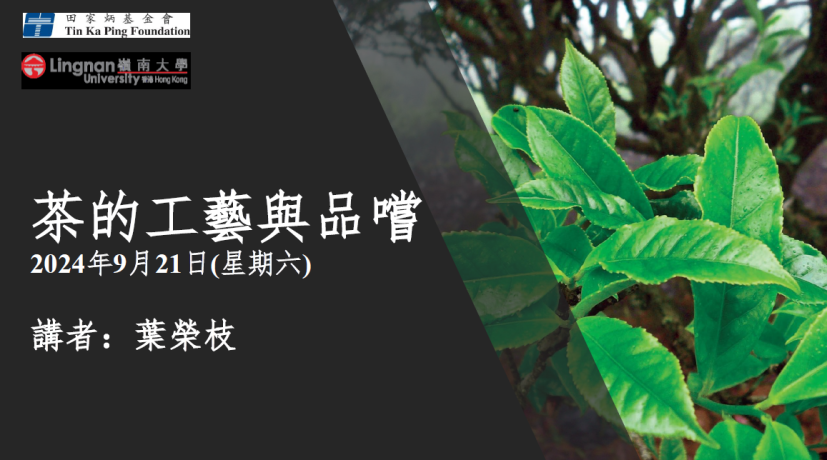 讲座简报下载