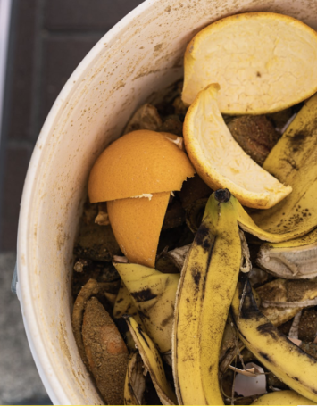 Returning Waste to the Field: Human Excrement, Sustainability and Circularity in Contemporary Rural China 轉廢還田：探討人類排遺在當代中國農村的永續性與循環經濟