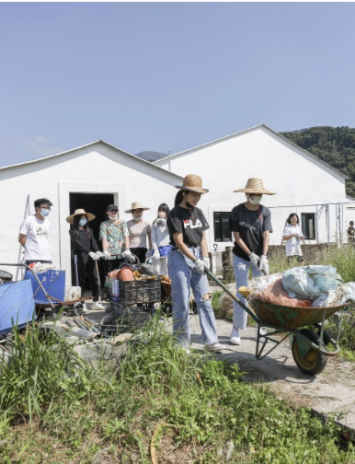 Cultures of Sustainability Programme