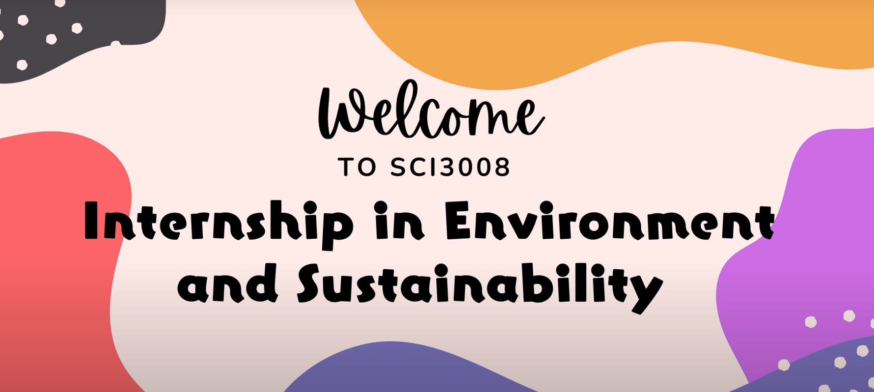 Internship in Environment and Sustainability