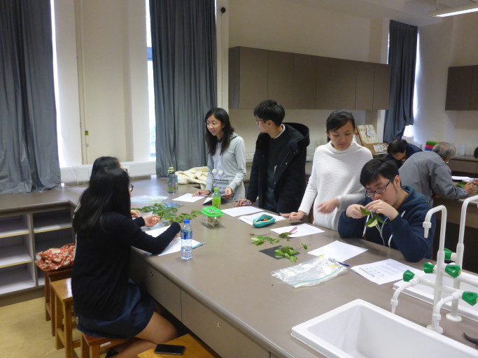 Teaching and Learning