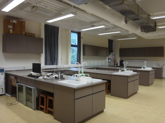 Laboratory Setting and Equipment