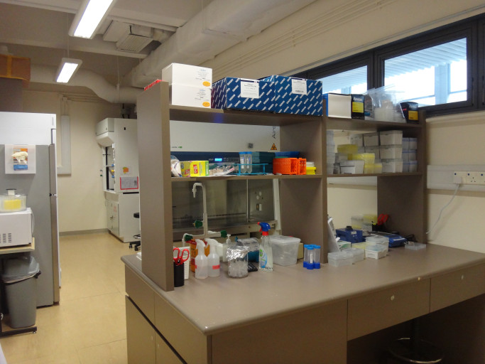 Laboratory Setting and Equipment
