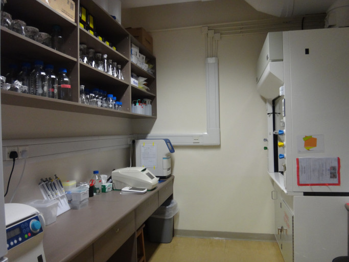 Laboratory Setting and Equipment