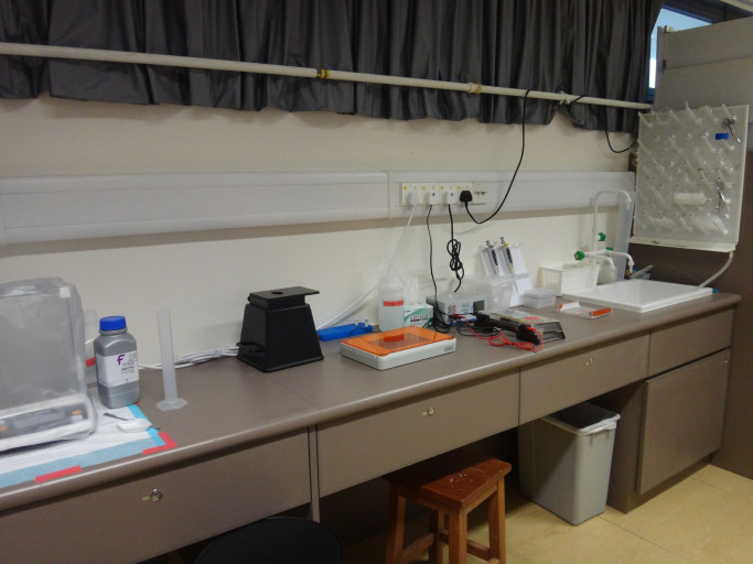Laboratory Setting and Equipment
