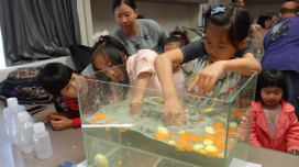 Family Science Day
