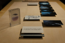  "Think Outside the Box" Eco-Art Exhibition