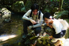 Exploring the Life Cycle of HK Newt