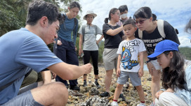 Exploring the Boulder - Rocky Shore in Tai Tam