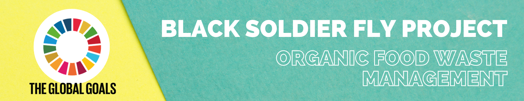 Black Soldier Fly Project Banner
