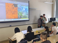 Tree Safety Geospatial Programme and Workshop