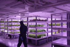SCI503 Visit: Smart Mobile Farm Visit and Farm Lab Workshop
