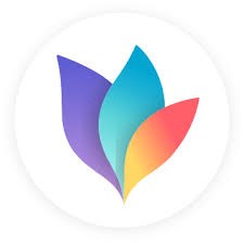 Mindnode Plus