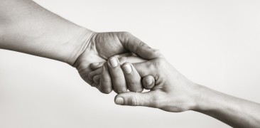 嶺南大學呼籲捐助支援大埔火災受影響人士。