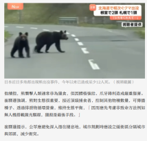 日本熊出沒事件頻發 嶺大專家：獵殺是最後手段 - 大公文匯