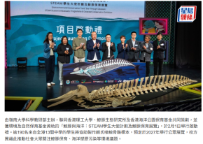 嶺大牽頭舉辦「鯨豚STEAM保育計劃」 近200中學生助製朗氏喙鯨骨骼標本 - 星島頭條