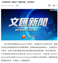 英語中「憂鬱的藍」從何而來？  - 文匯報