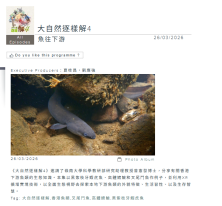 【大自然逐樣解4】《魚往下游》 -  香港電台
