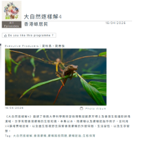 大自然逐樣解4| 香港螈居民 - 香港電台