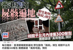 每日雜誌｜香港瘰螈屍骸遍地 野生動物「路殺」頻生 相關平台月內接獲300報告 團體籲建「風險地圖」預防 - 星島頭條