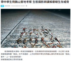 帶中學生飛鵝山實地考察 生態攝影師講解瘰螈生存威脅 - 星島頭條