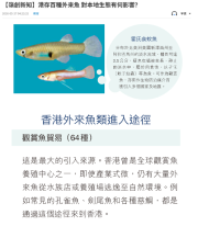 【嶺創新知】港存百種外來魚 對本地生態有何影響？ - 文匯報
