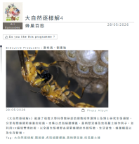 大自然逐樣解4 - 蜂巢百態 - 香港電台