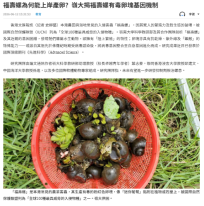 福壽螺為何能上岸產卵？嶺大揭福壽螺有毒卵塊基因機制 - 文匯報