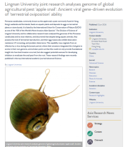 Lingnan University joint research analyses genome of global agricultural pest ‘apple snail’: Ancient viral gene-driven evolution of ‘terrestrial oviposition’ ability - Asia Research News （只有英文）