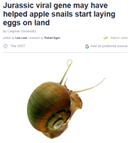 Jurassic viral gene may have helped apple snails start laying eggs on land - PHYS.org （只有英文）