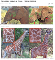 【嶺創新知】動物亦有「指紋」 可區分不同個體 - 文匯報