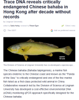 Trace DNA reveals critically endangered Chinese bahaba in Hong Kong after decade without records - Phys.org （只有英文）