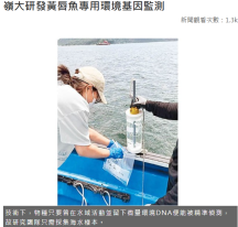 嶺大研發黃唇魚專用環境基因監測 - 東方日報
