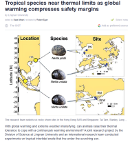 Tropical species near thermal limits as global warming compresses safety margins - Phys.org （只有英文）