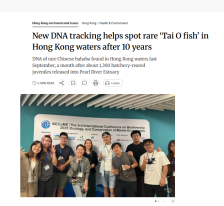 New DNA tracking helps spot rare ‘Tai O fish’ in Hong Kong waters after 10 years - 南華早報（只有英文）