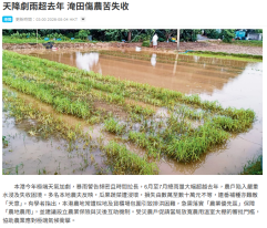 天降劇雨超去年 淹田傷農苦失收 學者促保「農地農用」解決排洪設災後互助機制 - 星島頭條