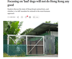 Focusing on ‘bad’ dogs will not do Hong Kong any good - 南華早報（只有英文）