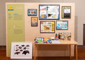 嶺大科學教研組慶祝成立十周年 辦跨學科展覽回顧研究成果