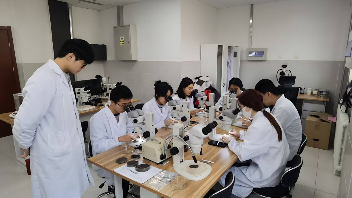 Researchers conduct data collection.