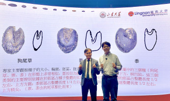 Lingnan co-develops world's first large-scale AI archaeological system for ancient Chinese plant seeds