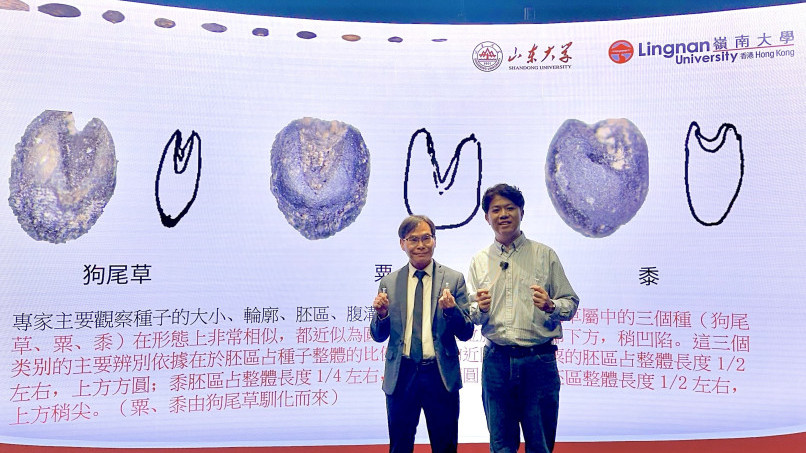 Lingnan co-develops world's first large-scale AI archaeological system for ancient Chinese plant seeds