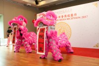 Chinese New Year Media Reception
