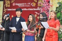 Chinese New Year Carnival