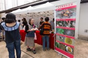 「传.创」非遗展览 以当代艺术重现传统工艺魅力