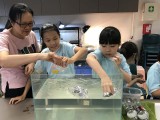 Science Unit promotes green living for local communities and students