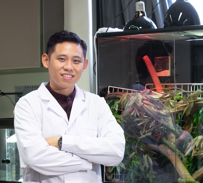 嶺大學者世界首次發現青蛙物種的反傳統交配行為