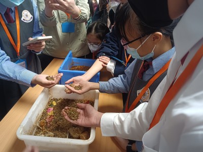 primary student visit